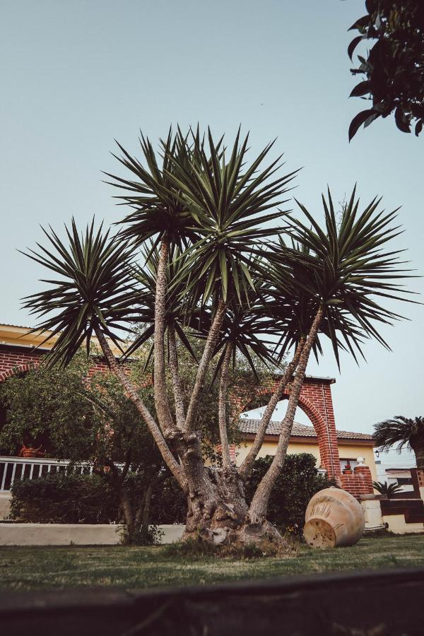 Casa de Férias Paquita - Delta De L'ebre