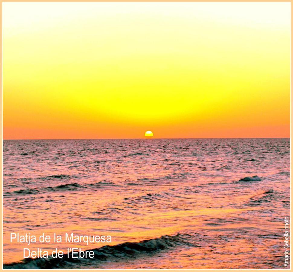 Сasa de vacaciones Paquita - Delta De L'ebre *